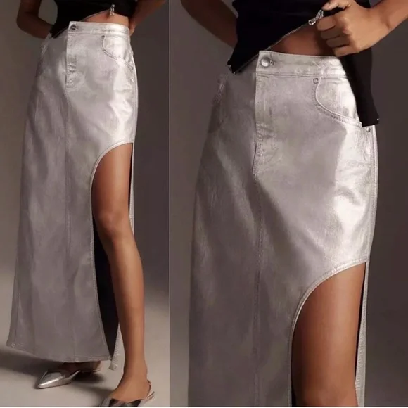 Anthropologie Silver Maxi Skirt - Picture 4 of 7